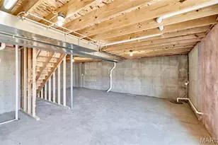 111 Peruque Creek Manor, Wright City, MO 63390 - Photo 48