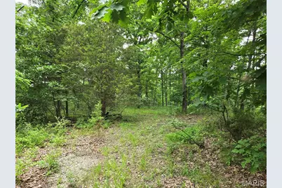 0 Mark Peterson Drive, Wright City, MO 63390 - Photo 2