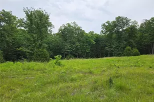 0-1 Mark Peterson Dr, Wright City, MO 63390 - Photo 1