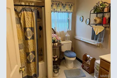 13688 State Hwy U, Mineral Point, MO 63660 - Photo 12