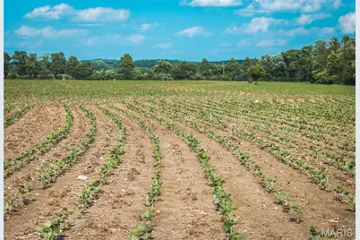 000 Shawneetown Ford Spur Tract D, Union, MO 63084 - Photo 22