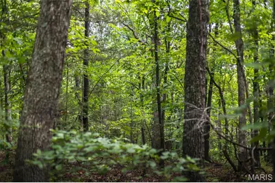 58.74 Acres Highland Fling, Sullivan, MO 63080 - Photo 26