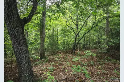 58.74 Acres Highland Fling, Sullivan, MO 63080 - Photo 28