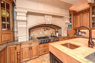 4 Slate River Way, Wentzville, MO 63385 - Photo 14