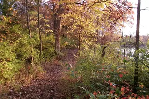 14816 Hwy Uu, Bowling Green, MO 63334 - Photo 46