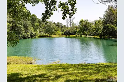 14816 Highway Uu, Bowling Green, MO 63334 - Photo 2