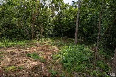 9793 Grove Drive, Bonne Terre, MO 63628 - Photo 4