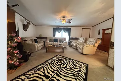18096 Monroe Road 453, Paris, MO 65275 - Photo 16