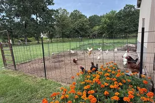 14585 Hwy Aw, Plato, MO 65552 - Photo 34