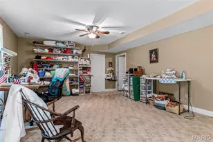 318 Doe Run Ln, Bonne Terre, MO 63628 - Photo 28