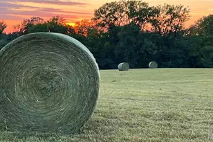 64234 Hwy 6, Greendale, MO 63544 - Photo 22