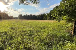 10295 County Rd 458A, Birch Tree, MO 65438 - Photo 28