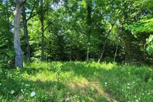 155 Lot Hill Side Rd, De Soto, MO 63020 - Photo 1