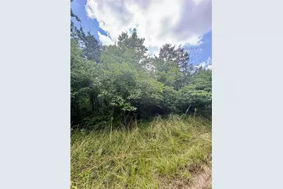 2669 Frederick Road, Festus, MO 63028 - Photo 4