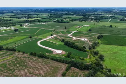 250 Autumn Hallow Ct, Old Monroe, MO 63369 - Photo 6