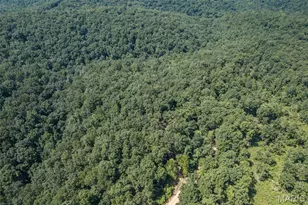 3341 County Road 146A, Annapolis, MO 63620 - Photo 46