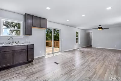 1530 Lake Drive, Ironton, MO 63650 - Photo 8