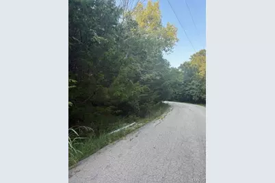 5683 Forest Drive, Hillsboro, MO 63050 - Photo 2