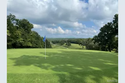 5752 Treebrook Drive, Hillsboro, MO 63050 - Photo 24