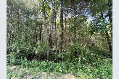 0 Red Bud Drive, Catawissa, MO 63015 - Photo 4