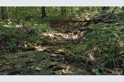10021 Bugle Rd, Cadet, MO 63630 - Photo 2