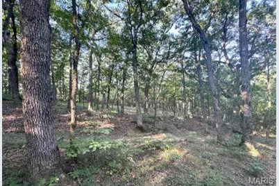 1483 Cedar Ridge Drive, Hermann, MO 65041 - Photo 62