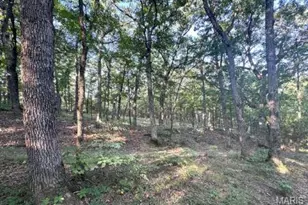 1483 Cedar Ridge Dr, Hermann, MO 65041 - Photo 62