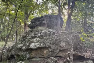 1483 Cedar Ridge Dr, Hermann, MO 65041 - Photo 56