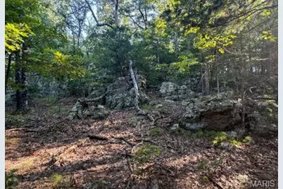 1483 Cedar Ridge Drive, Hermann, MO 65041 - Photo 58