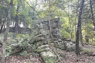 1483 Cedar Ridge Dr, Hermann, MO 65041 - Photo 60