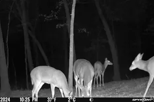 1483 Cedar Ridge Dr, Hermann, MO 65041 - Photo 76