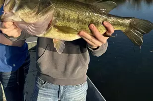 1306 State Rte J, Fayette, MO 65248 - Photo 84