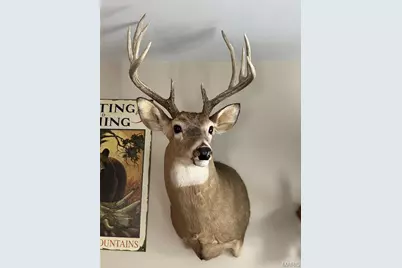 0 Highway A, Monroe City, MO 63456 - Photo 18