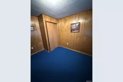 105 Sudhammer Road, Imperial, MO 65486 - Photo 20