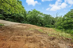 12323 State Route 21, De Soto, MO 63020 - Photo 10