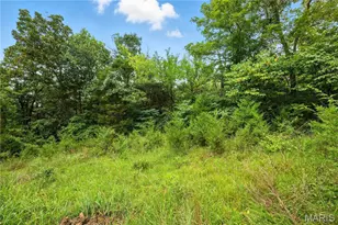 12323 State Route 21, De Soto, MO 63020 - Photo 12