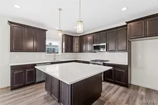 227 Windmill View Drive, O'Fallon, MO 63385 - Photo 12