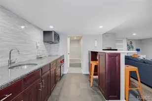 4317 Alma Ave, Saint Louis, MO 63116 - Photo 36