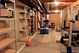 1537 Co Rd 618, Cape Girardeau, MO 63701 - Photo 10