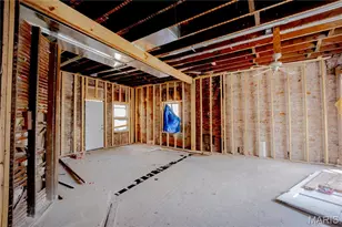 419 Mott St, Saint Louis, MO 63111 - Photo 14