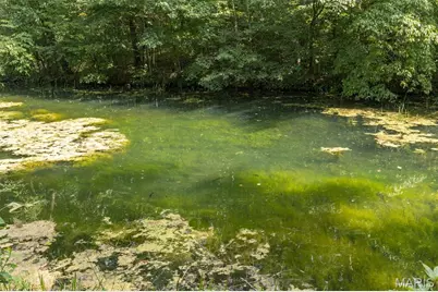 2540 Pfinister School Road, De Soto, MO 63020 - Photo 8