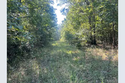 523 Faith Road, Wappapello, MO 63967 - Photo 14