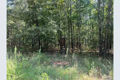 523 Faith Road, Wappapello, MO 63967 - Photo 22