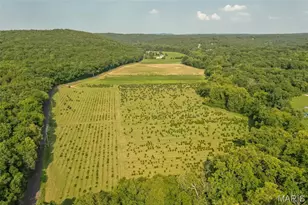 14560 Dry Fork Rd, Festus, MO 63028 - Photo 2