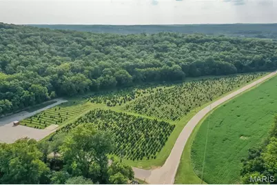 14560 Dry Fork Road, Festus, MO 63028 - Photo 4