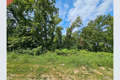 Lot 1 & 2 Ext Deer Run Plat 5, Van Buren, MO 63965 - Photo 4