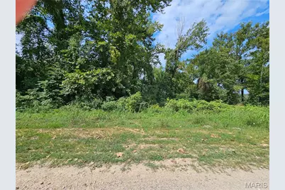 Lot 1 & 2 Ext Deer Run Plat 5, Van Buren, MO 63965 - Photo 2