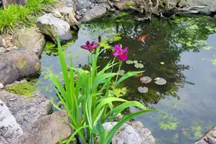 7062 Winona Ave, Saint Louis, MO 63109 - Photo 32