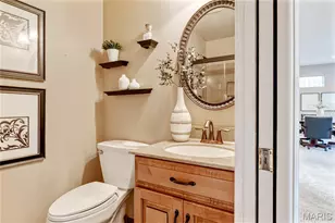 16307 Autumn View Terrace Dr, Ellisville, MO 63011 - Photo 48