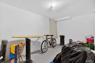 3627 Lafayette Ave, Saint Louis, MO 63110 - Photo 38